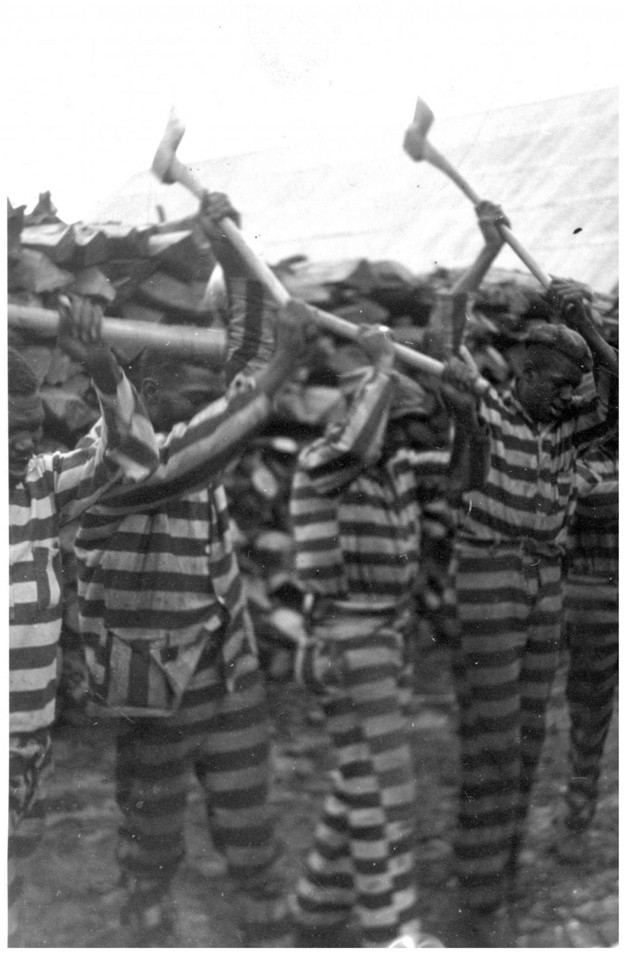 Afroamerikanische Sträflinge beim Holzhacken in Reed Camp, Südkalifornien, fotografiert von Alan Lomax um 1934