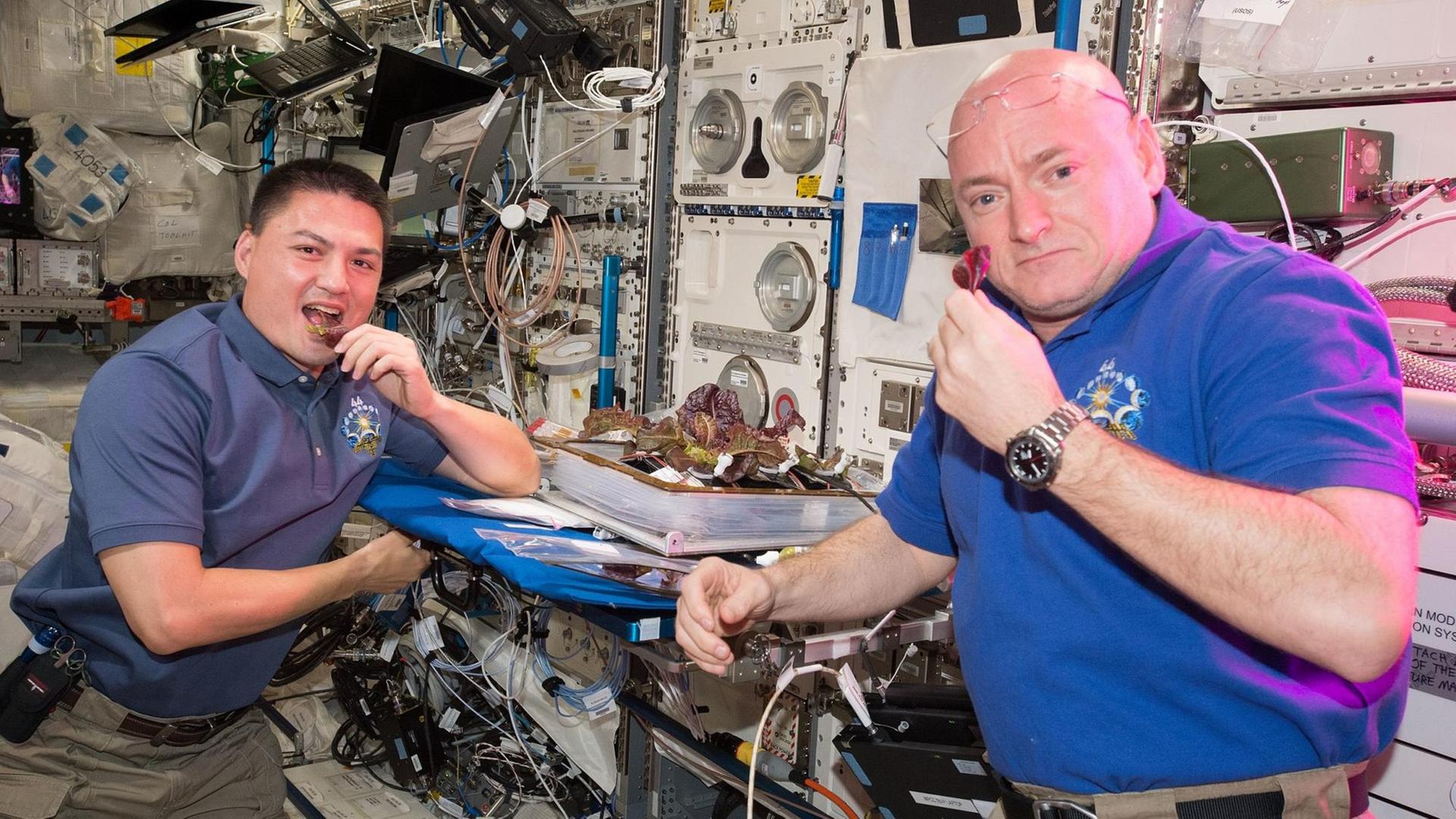 Kjell Lindgren (links) probiert gemeinsam mit seinem Kollegen Scott Kelly Salat, der auf der Raumstation gewachsen ist