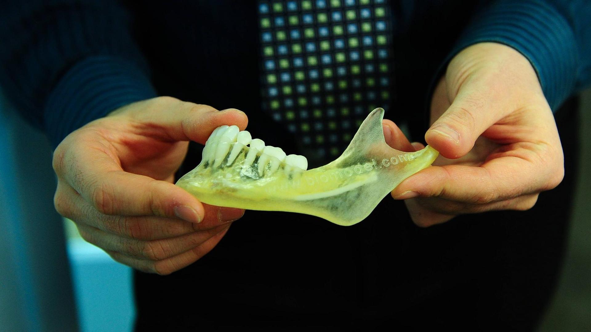 Ein Kieferknochen aus einem 3D-Drucker