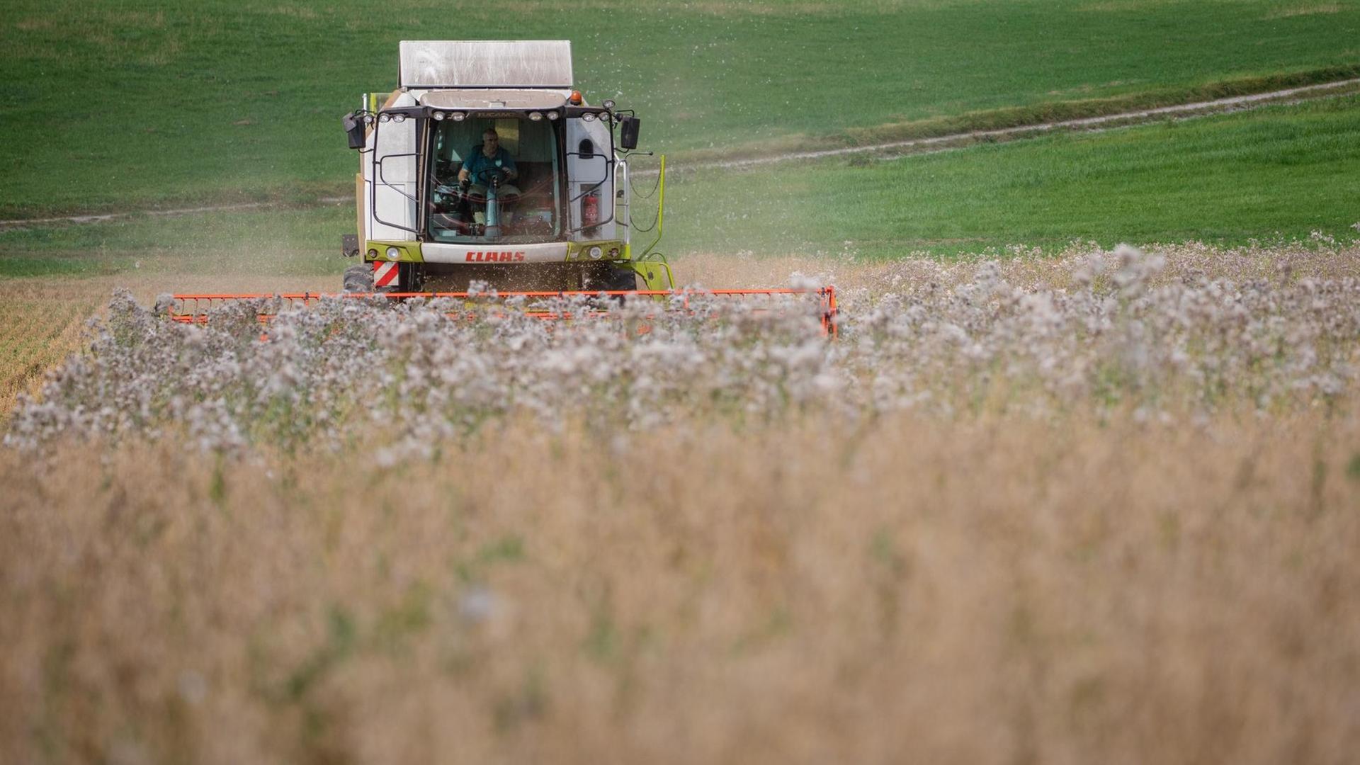 Bilancio – Associazione degli agricoltori insoddisfatti del raccolto