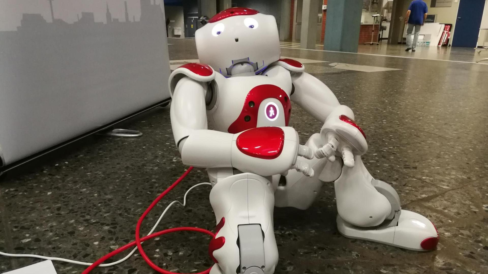 Der kleine rot-weiße Lernroboter ROBERTA kann sprechen, winken und laufen. Mit einer einfachen Programmiersprache erteilen Schulkinder am Computer die entsprechenden Befehle. Das Roboter-Projekt wurde am Fraunhofer-Institut in Sankt Augustin entwickelt.