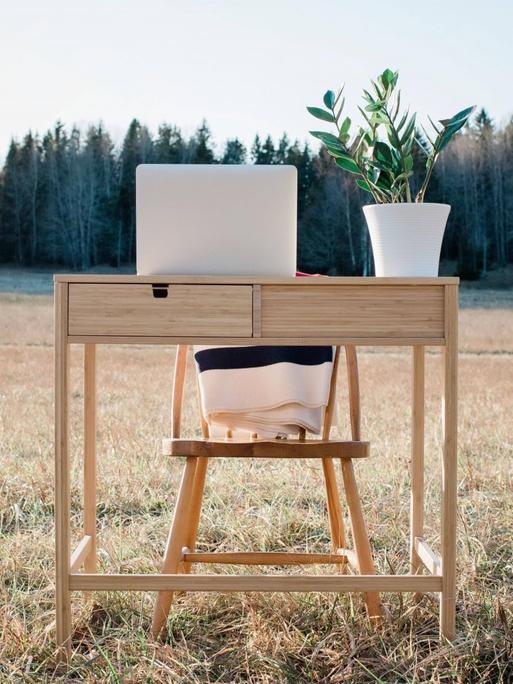 Ein Schreibtisch mit Laptop und Topfpflanze steht auf einem Feld.