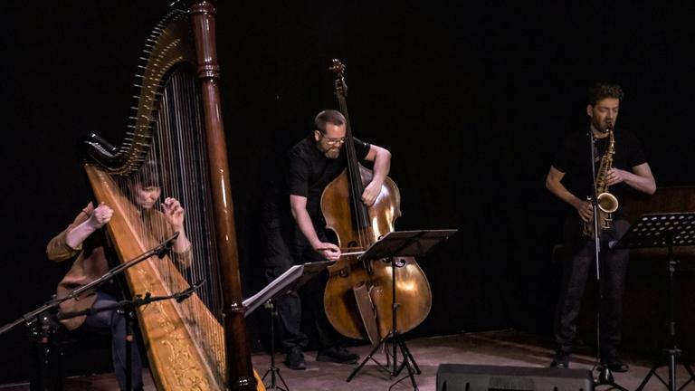 Eine Harfenistin (v.l.), ein Kontrabassist und ein Altsaxofonist spielen vor dunklem Hintergrund und blicken dabei konzentriert in die Noten auf den Pulten vor ihnen.
