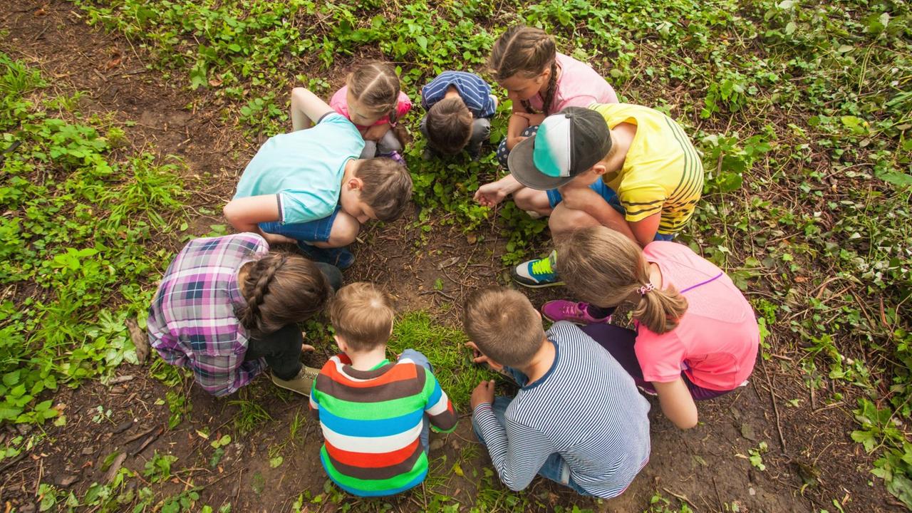 Kindergartenkinder in der Natur