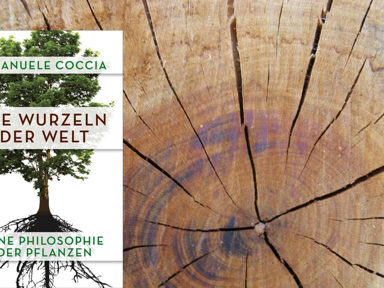 Buchcover: Emanuele Coccia: "Die Wurzeln der Welt"
