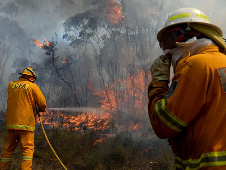 Feuerwehrleute kämpfen westlich von Sydney gegen die Flammen.