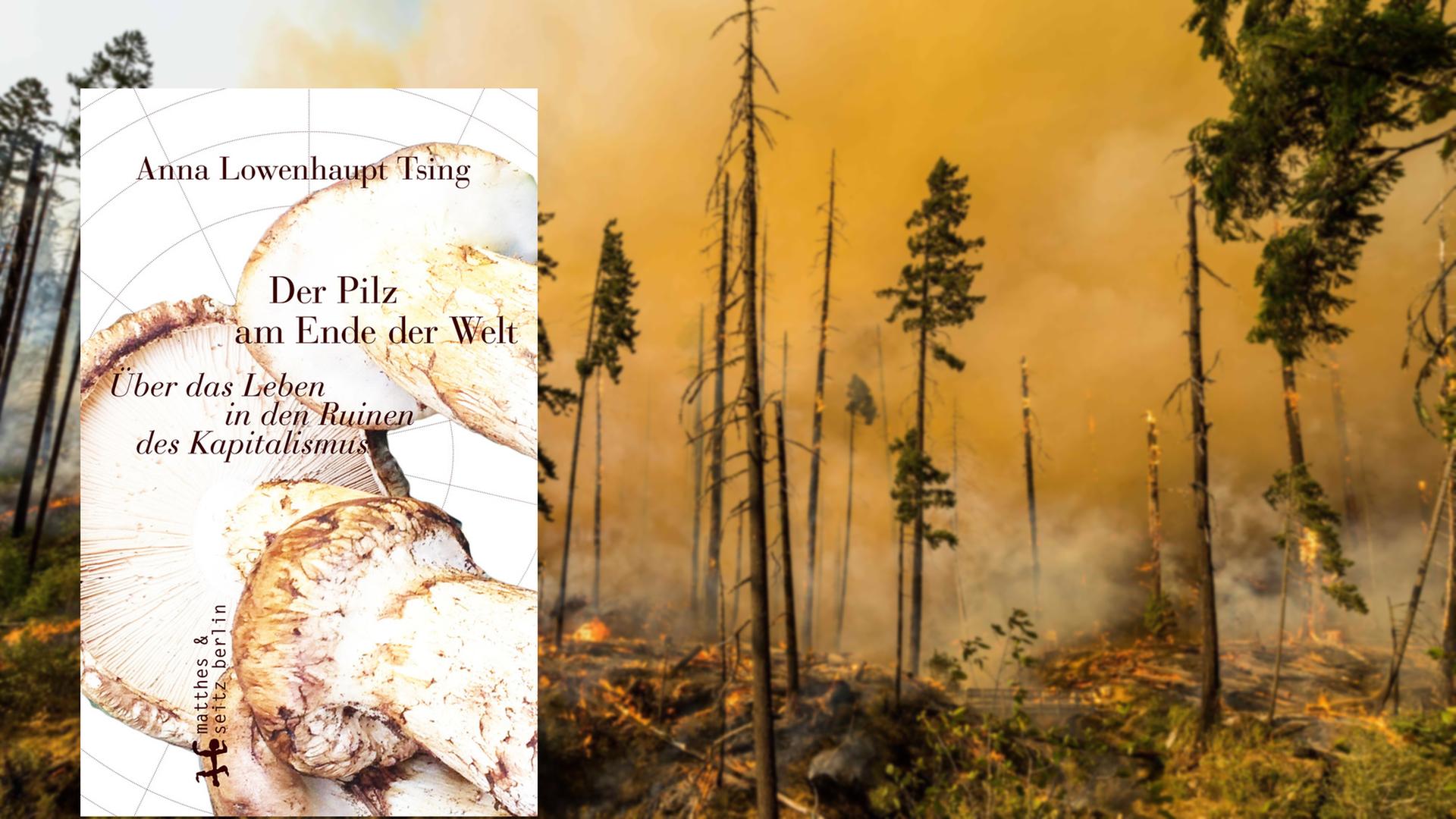 Cover von "Der Pilz am Ende der Welt" vor einem Bild von einem Waldbrand