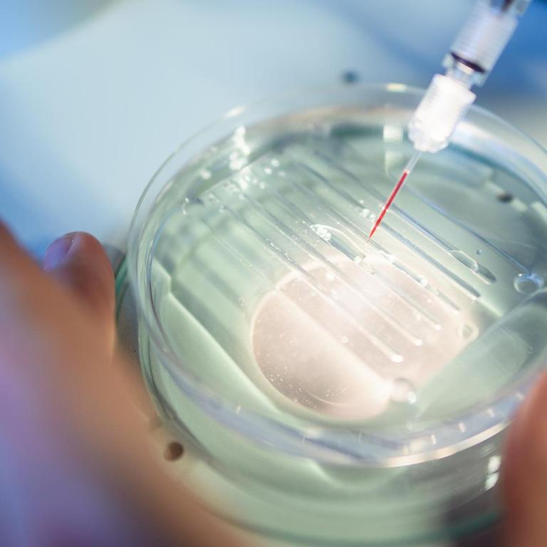 Eine wissenschaftliche Mitarbeiterin wendet das CRISPR/Cas9-Verfahrens in einem Labor des Max-Delbrück-Centrums für Molekulare Medizin an.
