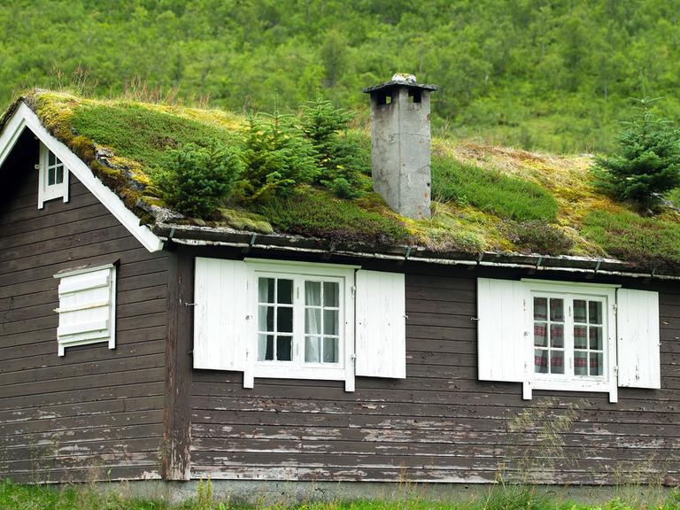 Hütte mit Dachbegrünung