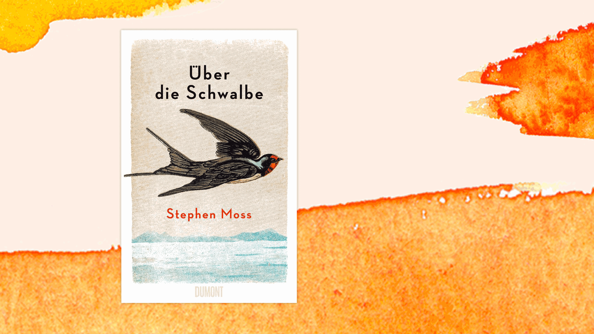 Cover des neuen Buchs von Stephen Moss: "Über die Schwalbe".