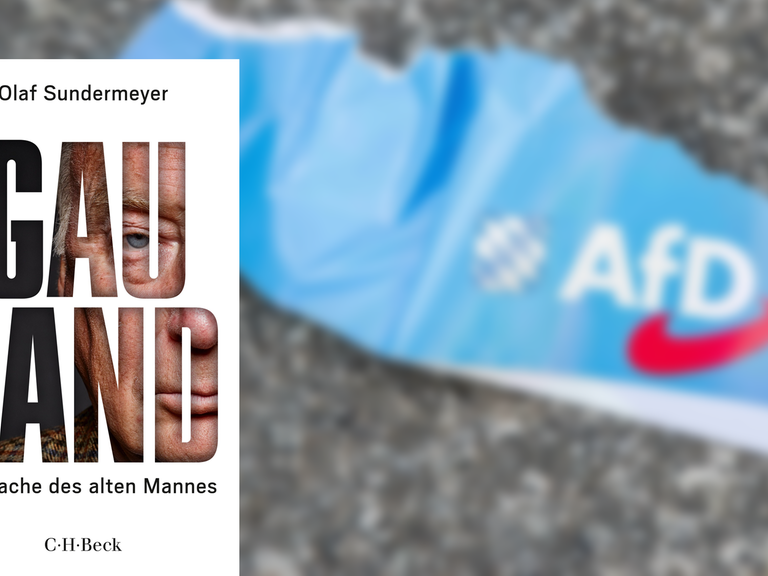 Im Vordergrund das Cover von "Gauland" von Olaf Sundermeyer, im Hintergrund ein Papierstück mit der Aufschrift "AfD", auf der Straße liegend.