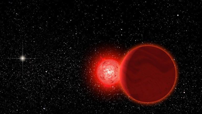 Scholz' Stern und sein Begleiter zogen vor rund 70 000 Jahren durch die innere Kometenwolke der Sonne (künstlerische Darstellung) Scholz' Stern und sein Begleiter zogen vor rund 70 000 Jahren durch die innere Kometenwolke der Sonne (künstlerische Darstellung)