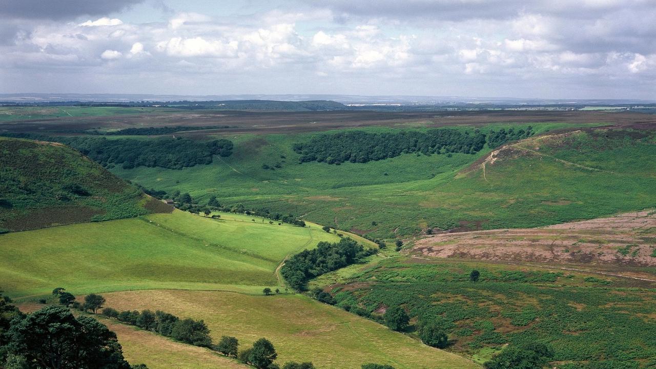 Blick auf die Landschaft des Nationalparks North York Moors in Yorkshire