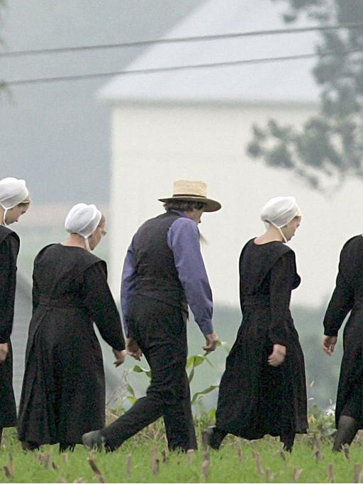 Mitglieder einer Amish-Gemeinde gehen am 4.10.2006 über eine Wiese in Nickel Mines, Pennsylvania.