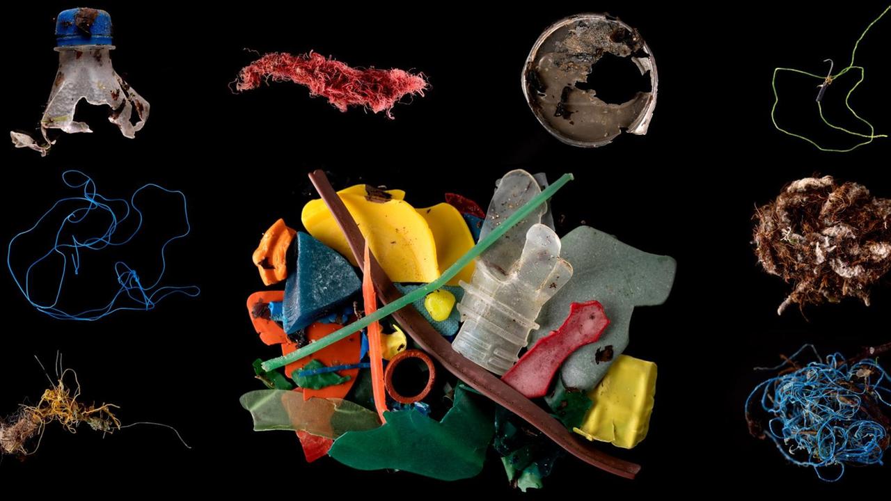 Das Foto zeigt ein buntes Sammelsurium an unterschiedlichsten Arten von Plastikmüll auf einen schwarzen Hintergrund inszeniert.