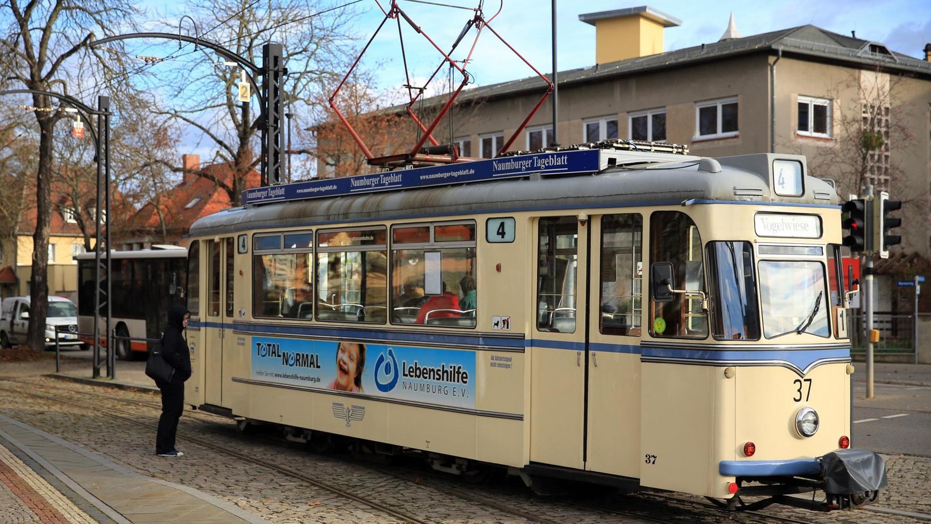 Die historische Straßenbahn "Wilde Zicke" fährt durch Naumburg (Sachsen-Anhalt).