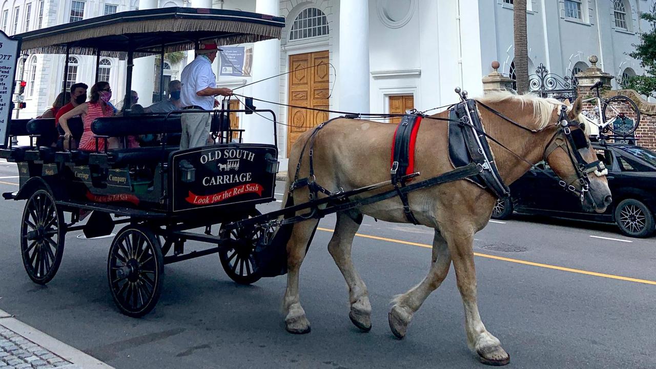 Kutsche mit Touristen fährt durch Charleston
