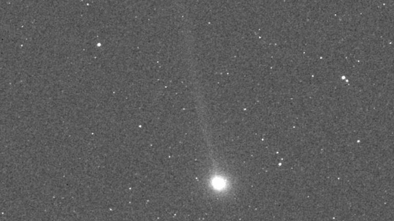 Komet Encke, ein häufiger Gast am Himmel 