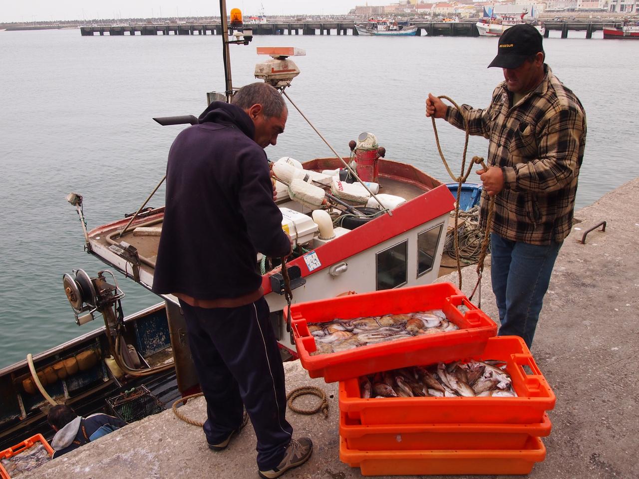 Zwei portugiesische Fischer laden ihren Fang an Land ab.