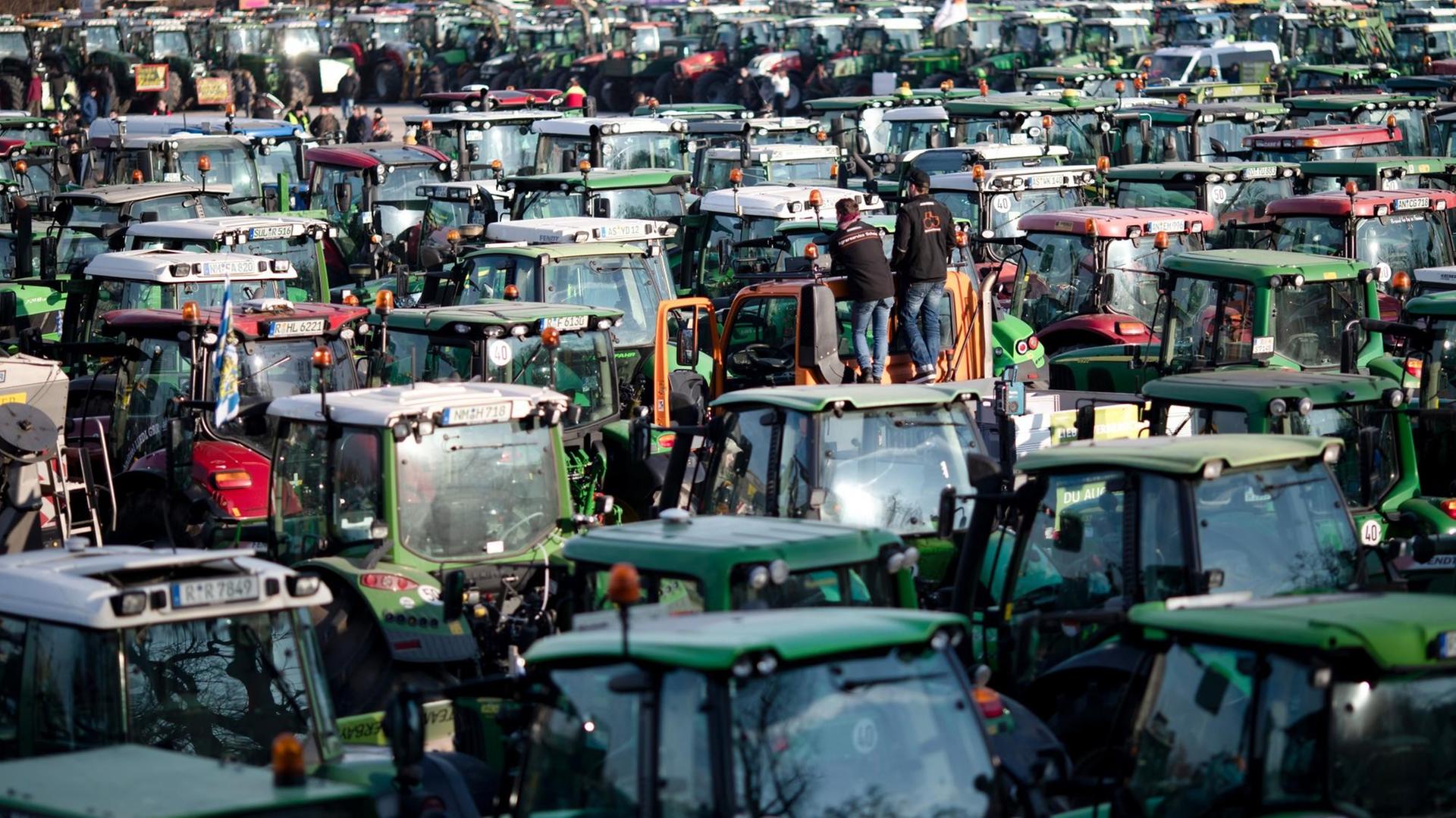 Viele Traktoren stehen in Nürnberg auf einem Platz. Bauern protestieren gegen die Agrarpolitik der Bundesregierung.