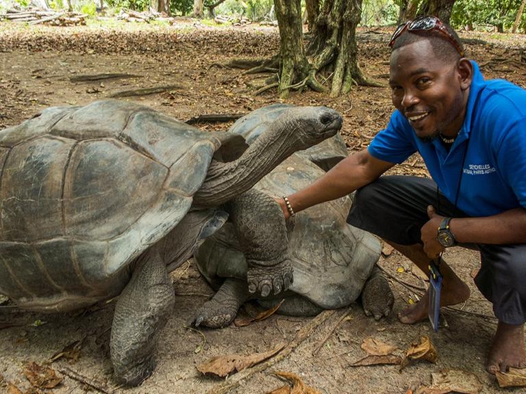 Seychellen - Ranger mit Aldabra-Riesenschildkröten auf Curieuse Island