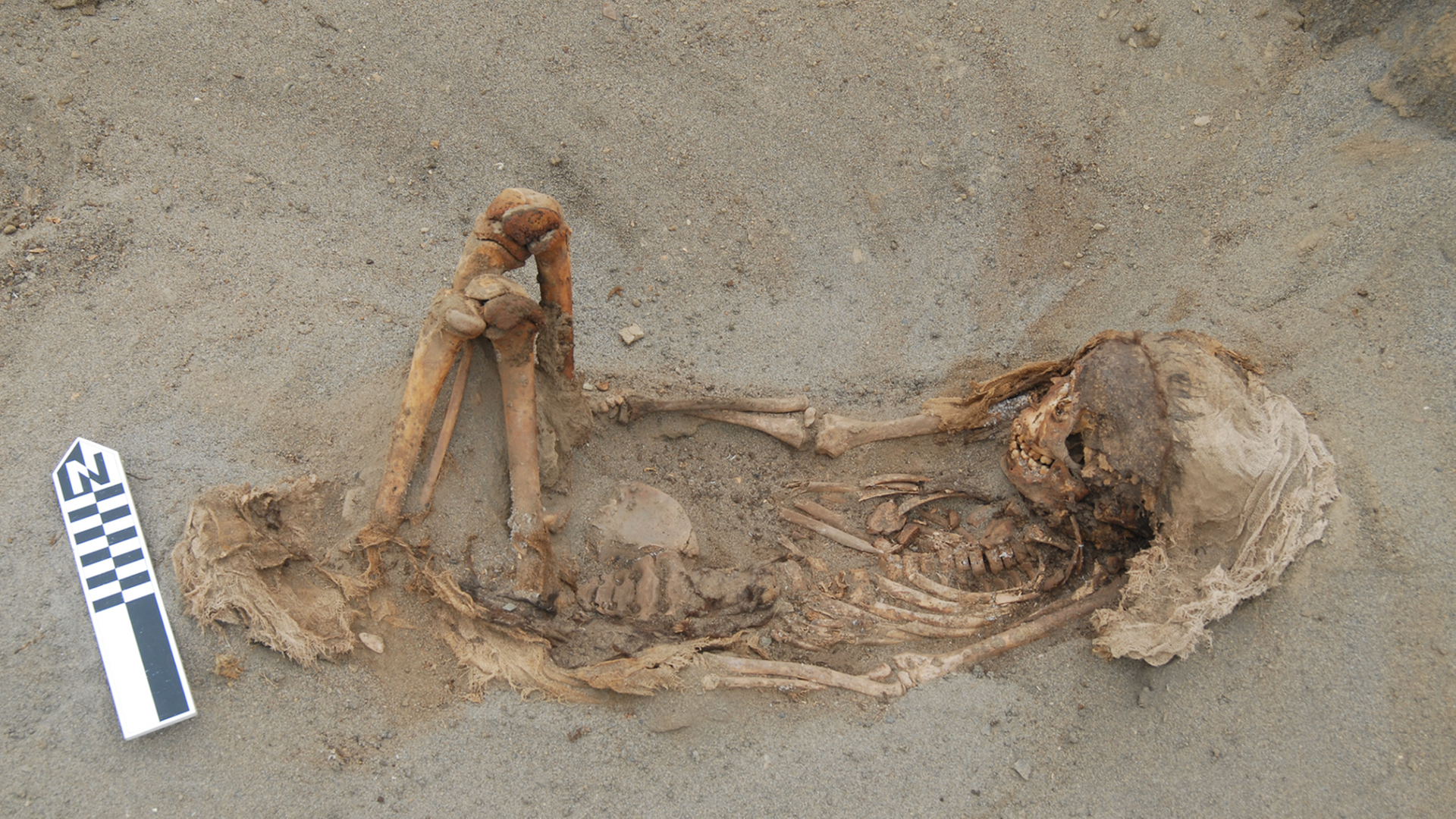 Für die Chimú typische Bestattung: Ein Kind liegt mit angezogenen Beinen im Wüstensand auf dem Rücken. Es liegt auf einem Tuch, das auch den Kopf bedeckt.