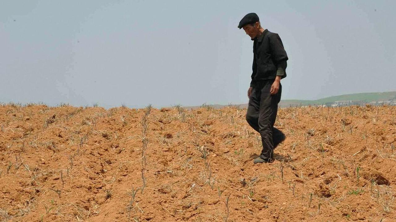 Ein Nordkoreaner geht über ein vertrocknetes Feld