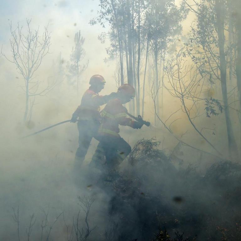 Feuerwehrmänner versuchen im Juni 2017 eine Waldband im portugiesischen Vale da Ponte, Pedrograo Grande, zu löschen.