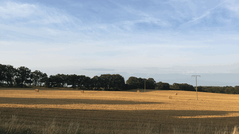 Acker in Mecklenburg-Vorpommern - das Bundesland ist ein ausgesprochenes Agrarland.