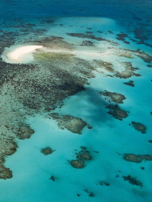 Luftaufnahme des Great Barrier Reef.