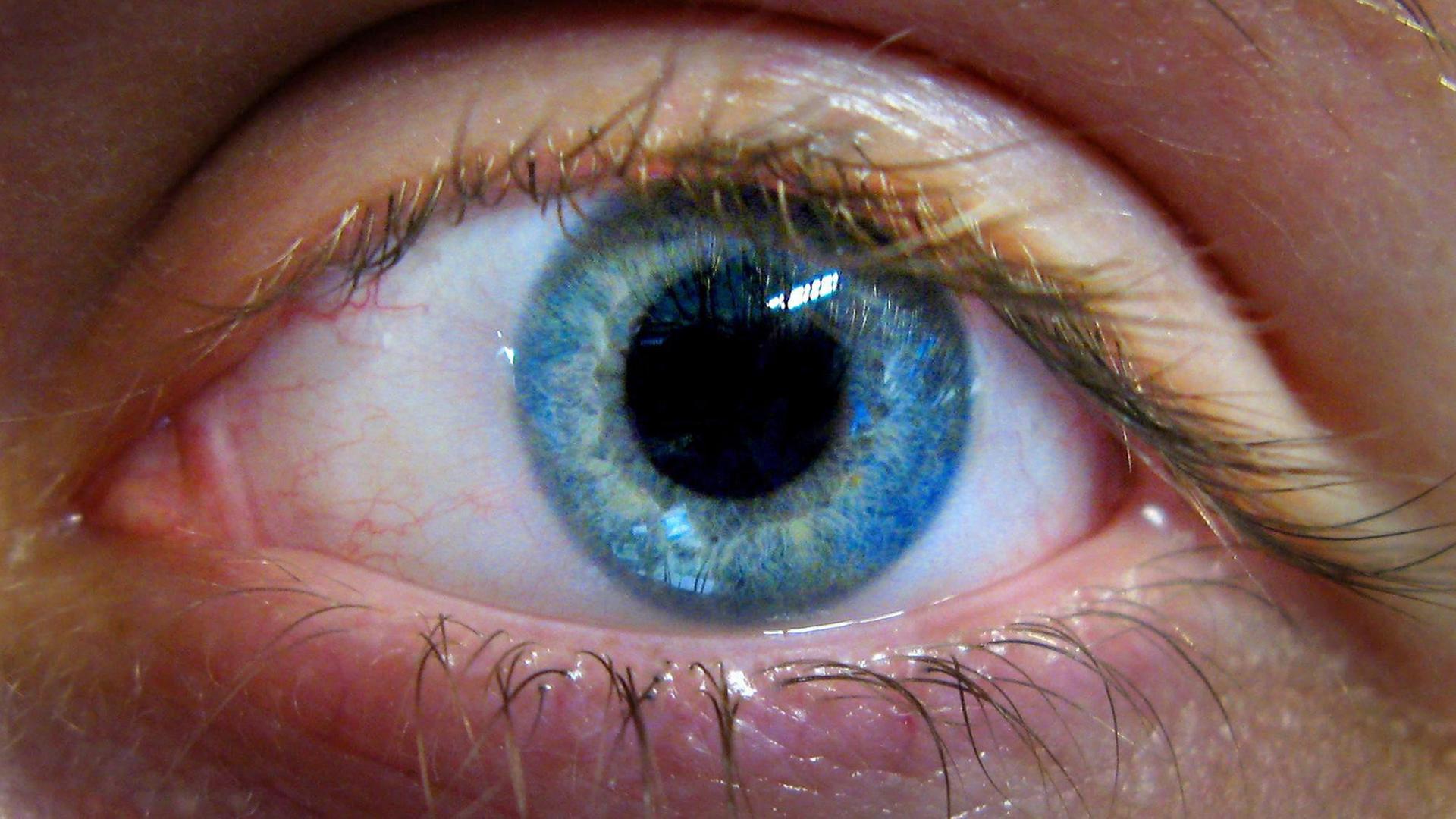 Ein blaues, menschliches Auge in einer Nahaufnahme.