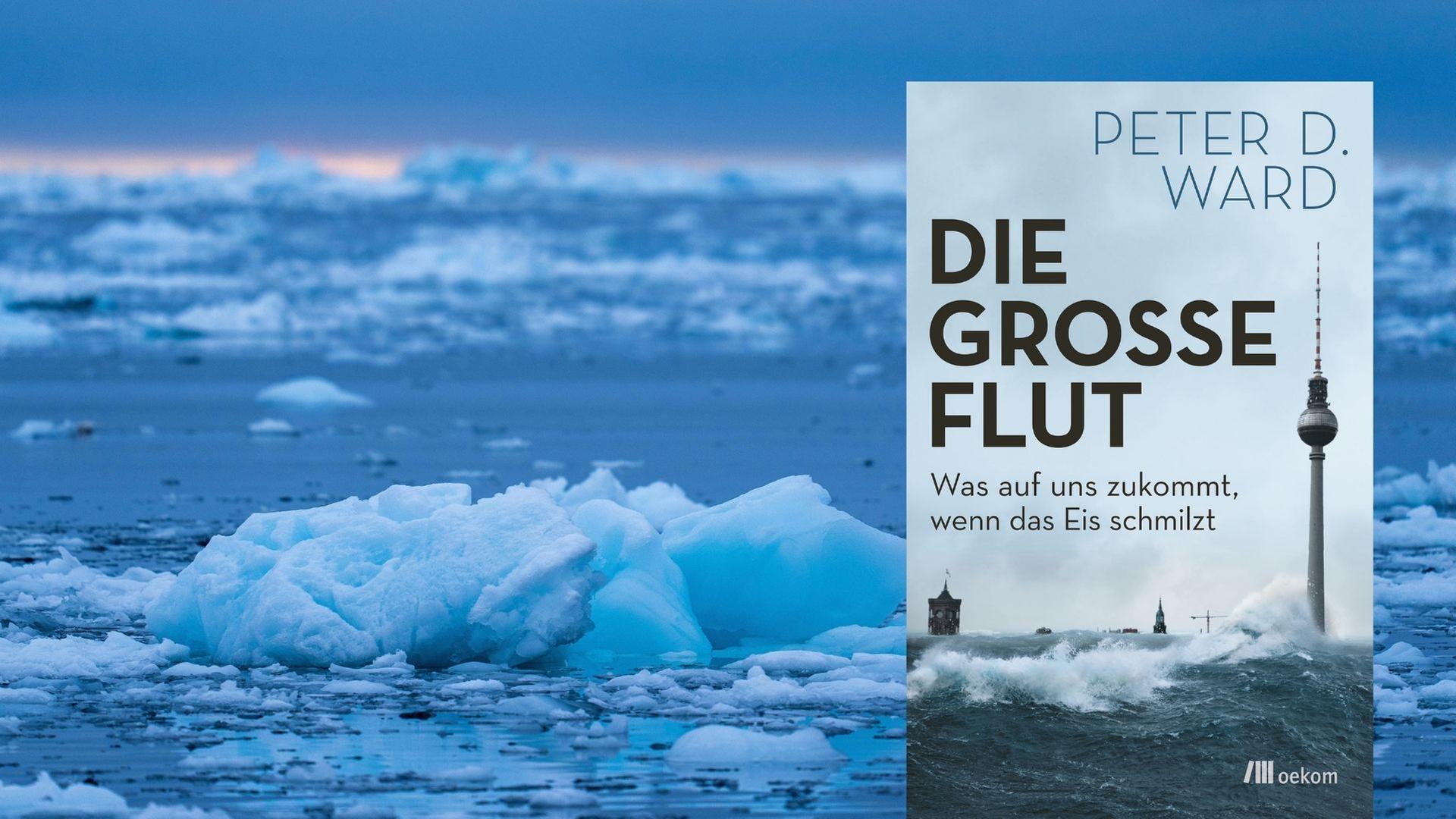 Buchcover zu Peter D. Ward: “Die große Flut - Was auf uns zukommt, wenn das Eis schmilzt“