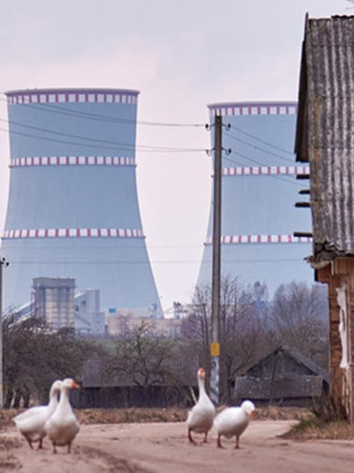 Das Belarussische AKW, das erste Atomkraftwerk in Belarus. Der Start ist für Juli 2020 geplant. Davor spazieren Gänse.