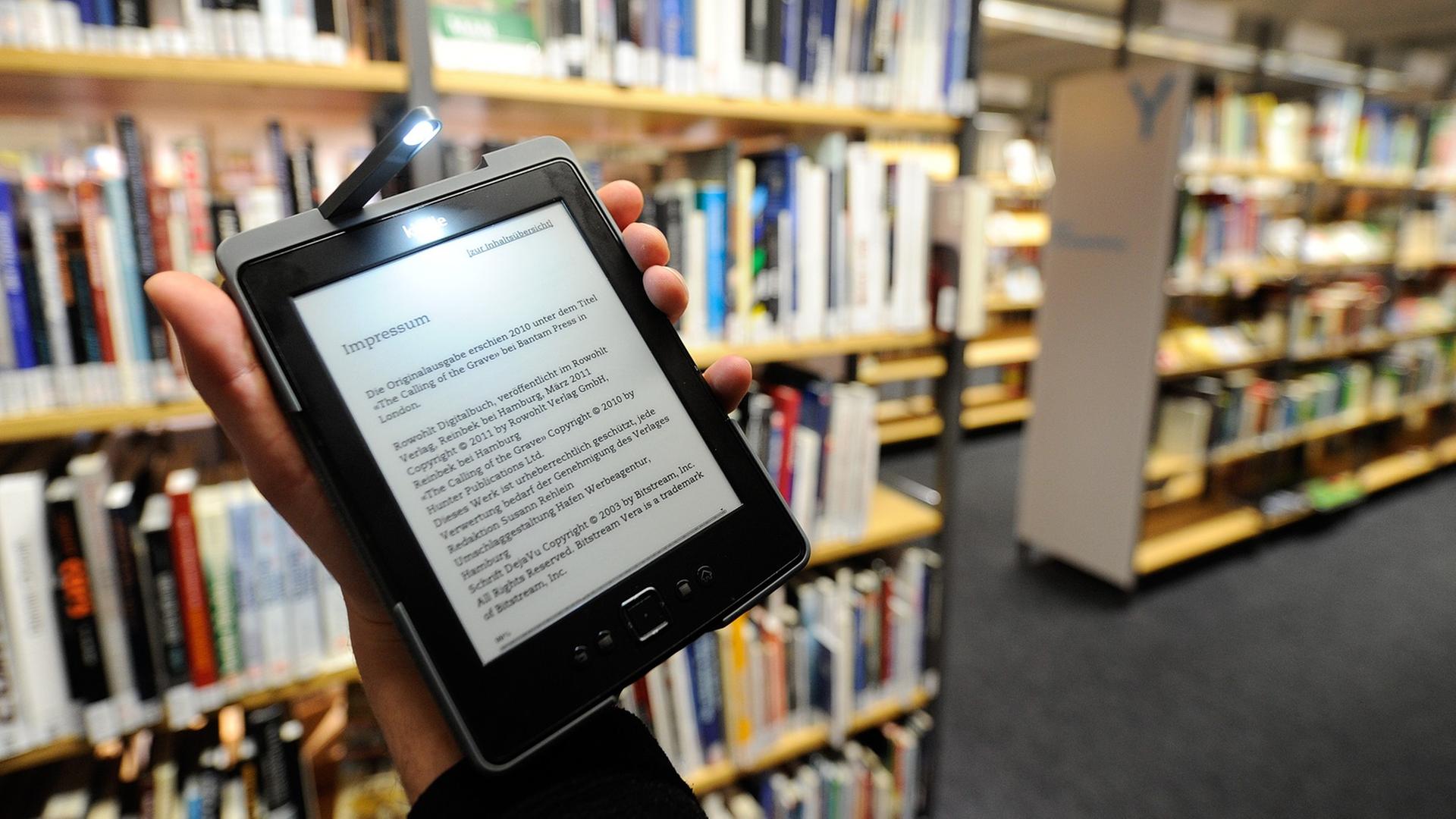 Ein ausgeliehenes E-Book wird am 04.12.2012 in Hamburg in der Zentralbibliothek auf einem E-Reader angezeigt. 