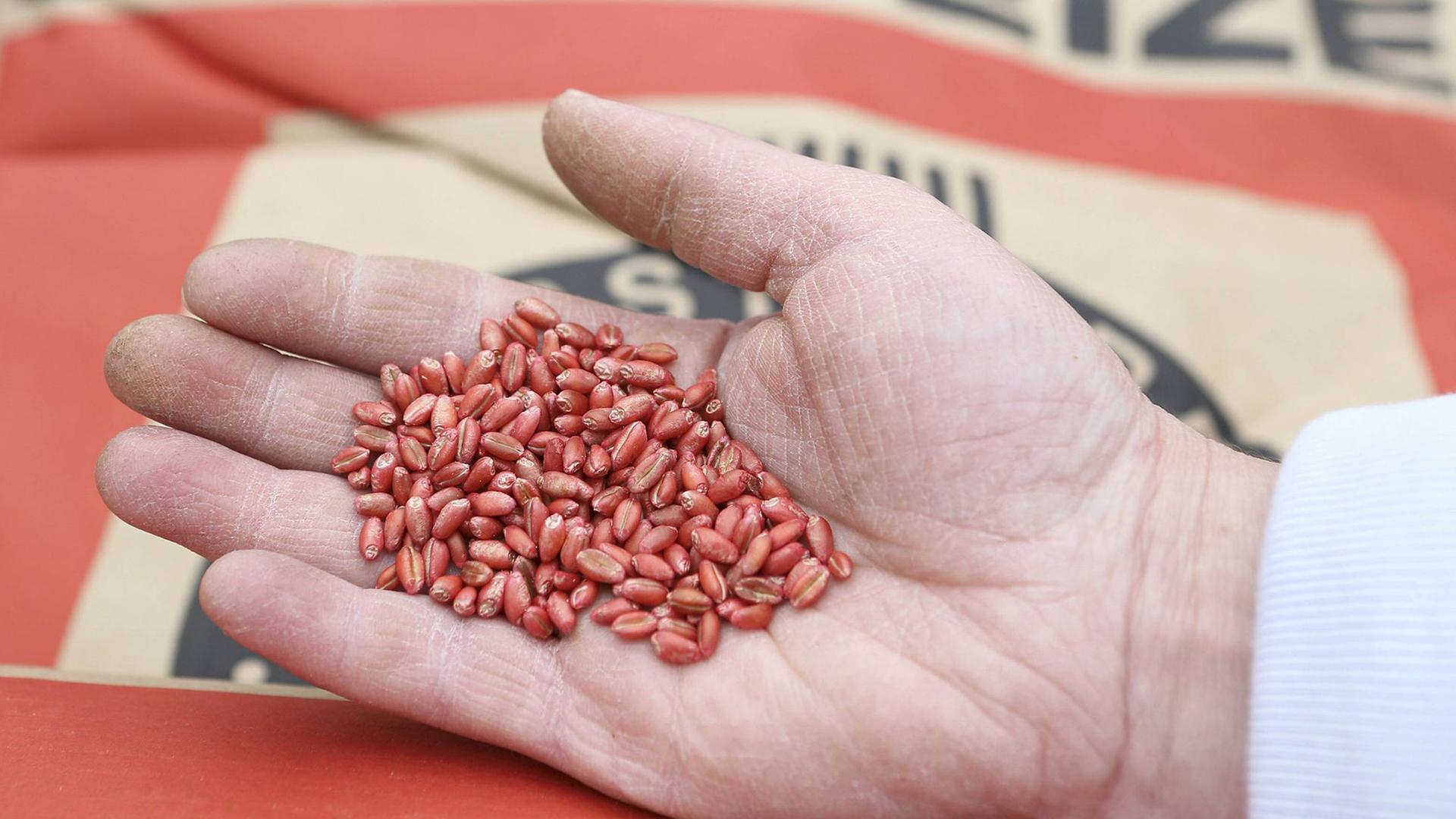 Landwirtschaft Von wegen "SaatgutMafia"