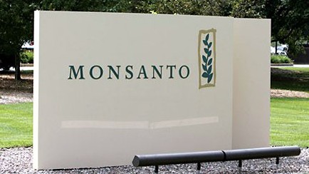 Eine Marmorplatte mit der Aufschrift "Monsanto" steht senkrecht in einem Kiesbett vor einem Rasen. 