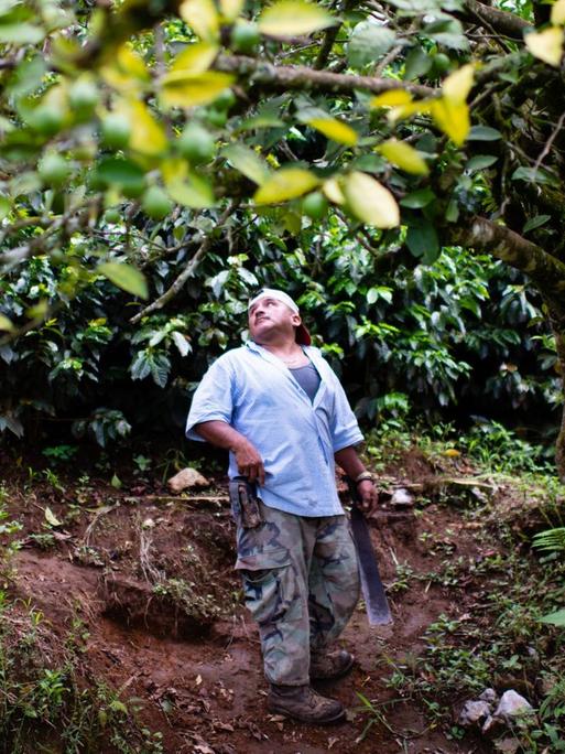 Ein Mann steht unter einem Baum in Guatemala.
