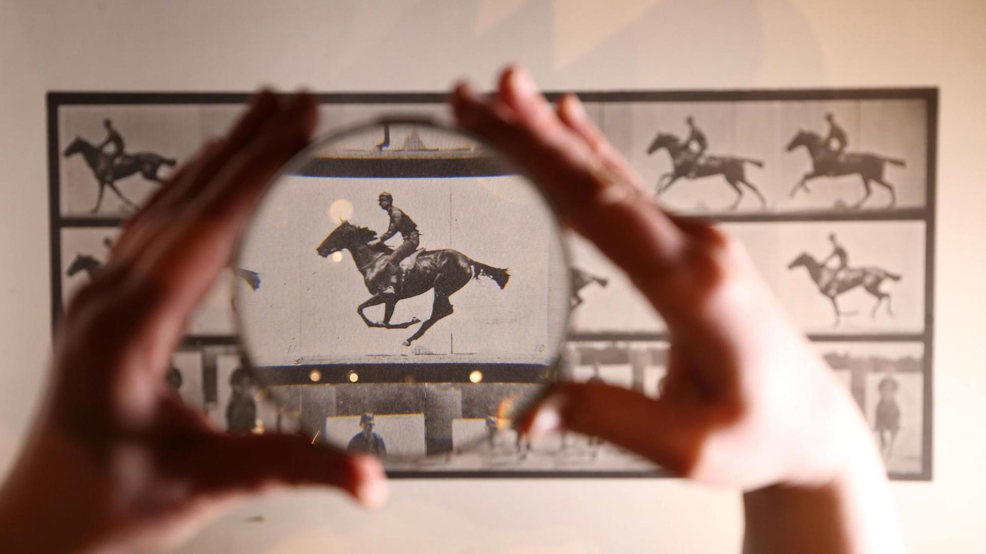 Bei einer Auktion werden Muybridges Bilder versteigert.