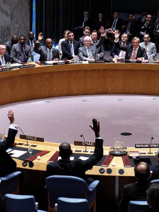 Die Mitglieder des Sicherheitsrats heben die Hand.