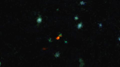 Das kühle Gas (orange) befindet sich am Rand einer kleinen Galaxie (grün). Falschfarbendarstellung einer Infrarotaufnahme.