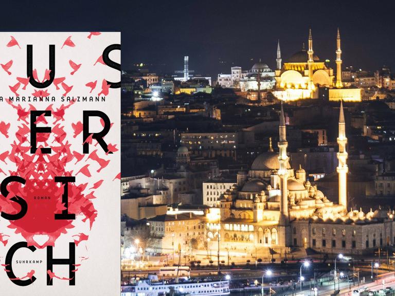 Buchcover von Sasha Marianna Salzmanns "Außer sich", im Hintergrund eine Stadtansicht von Istanbul bei Nacht