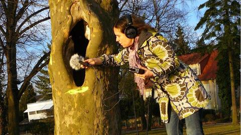 Eine Frau hält ein Mikrofon an einen Baum.