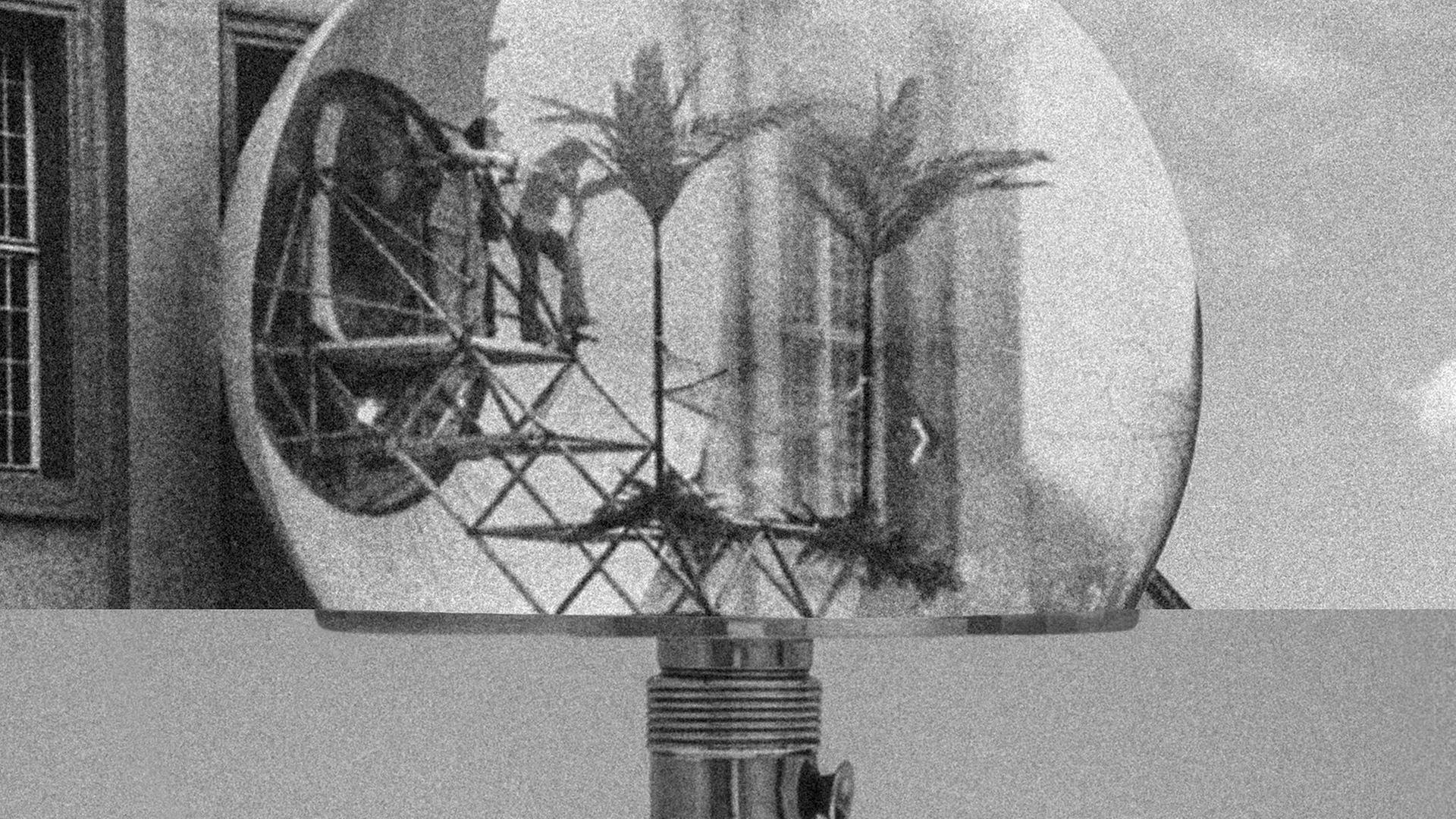Das Bild zeigt eine Collage, auf der ein Bauhaus-Klassiker, die Wagenfeld-Lampe, zu sehen ist.
