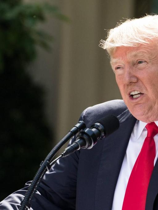 US-Präsident Donald Trump hat angekündigt, aus dem Pariser Klimaschutzabkommen auszutreten.