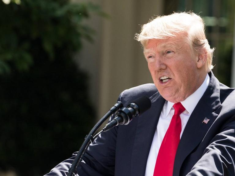 US-Präsident Donald Trump hat angekündigt, aus dem Pariser Klimaschutzabkommen auszutreten.