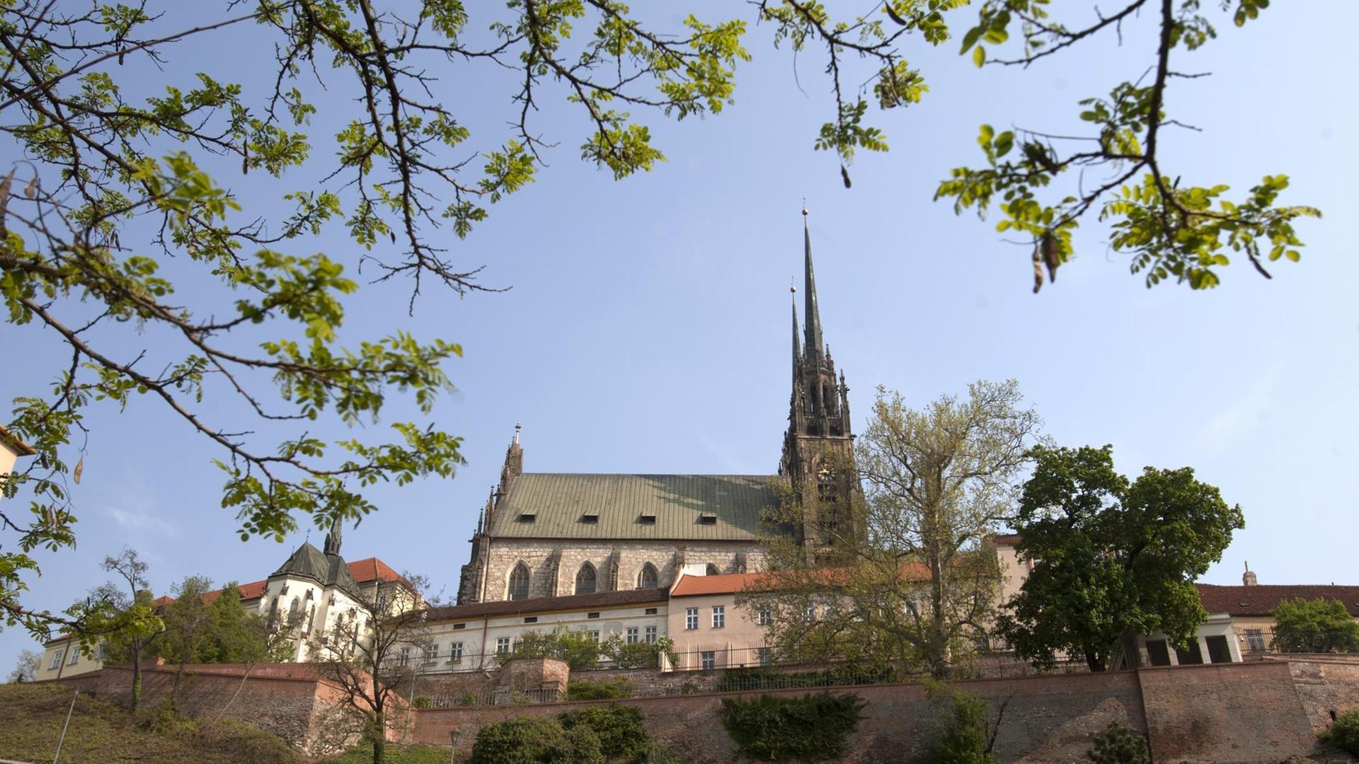 Cathedral of St. Peter and Paul in Brno, Czech Republic. |