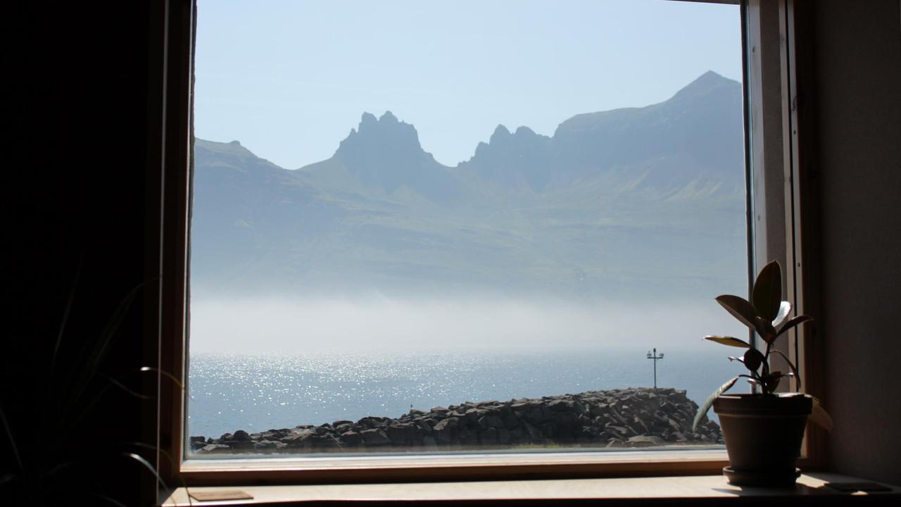 Blick aus einem Fenster mit einer kleinen Pflanze auf dem Fensterbrett auf einen sonnenbeschienenen Fjord mit Bergen dahinter und blauem Himmel.