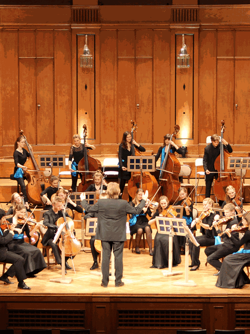 Die Deutsche Streicherphilharmonie bei einem Gastspiel in Bad Kissingen im Mai 2015