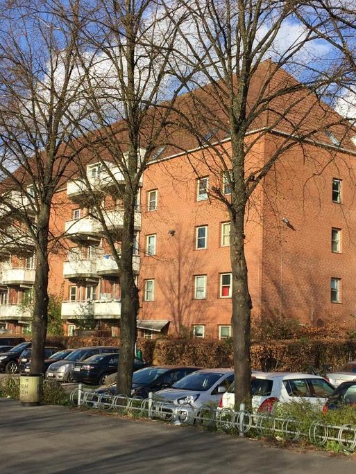Das Viertel Mjølnerparken in Kopenhagen steht schon länger auf der "Ghetto"-Liste der dänischen Regierung. 80 Prozent der Bewohner haben einen Migrationshintergrund.