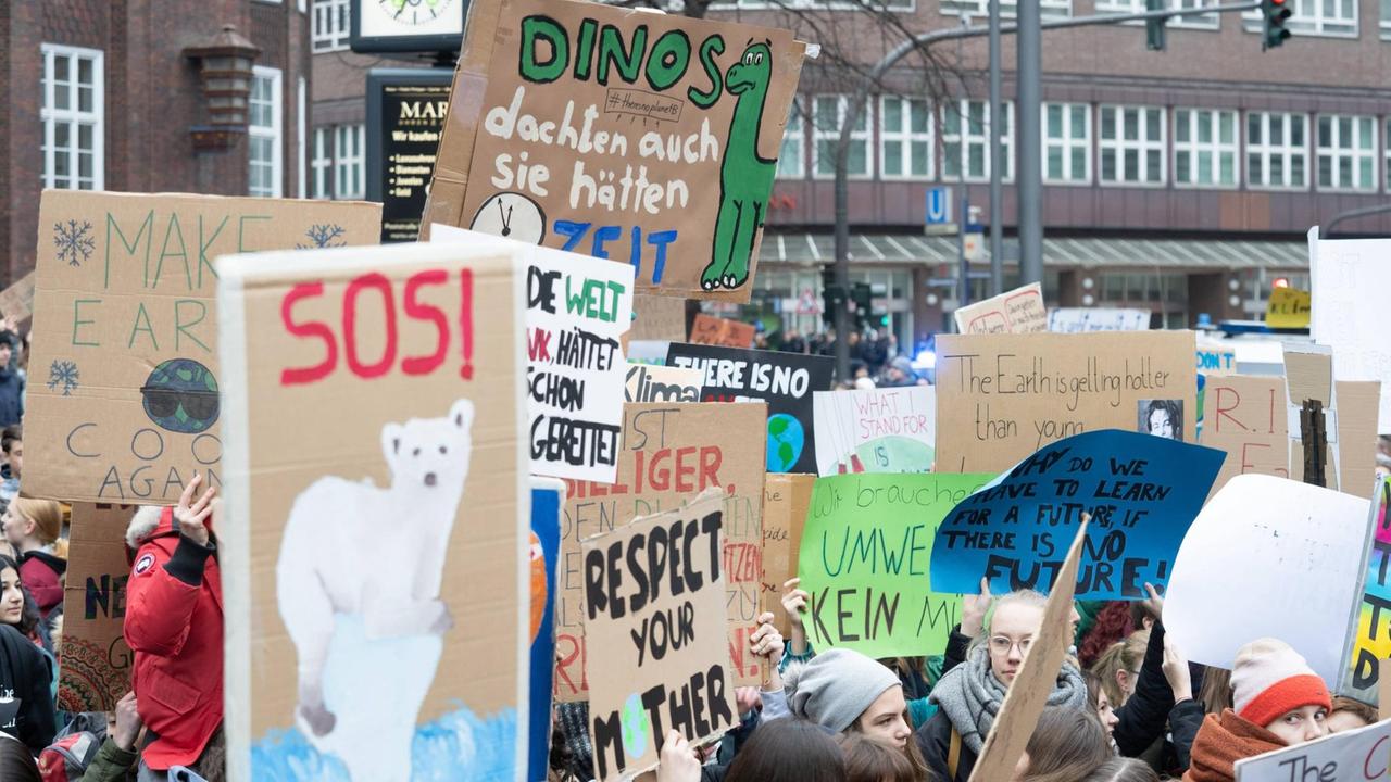Demonstration von Fridays for Future im März 2019 in Hamburg. Junge Menschen halten Plakate in die Luft.